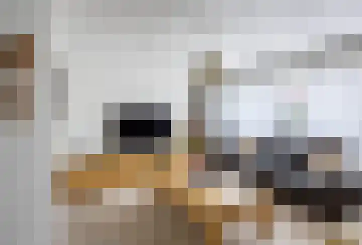 Walstro 23 Venray thumbnail 9