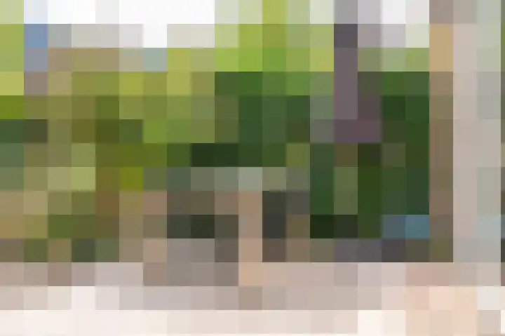 Walstro 68 Cuijk thumbnail 32