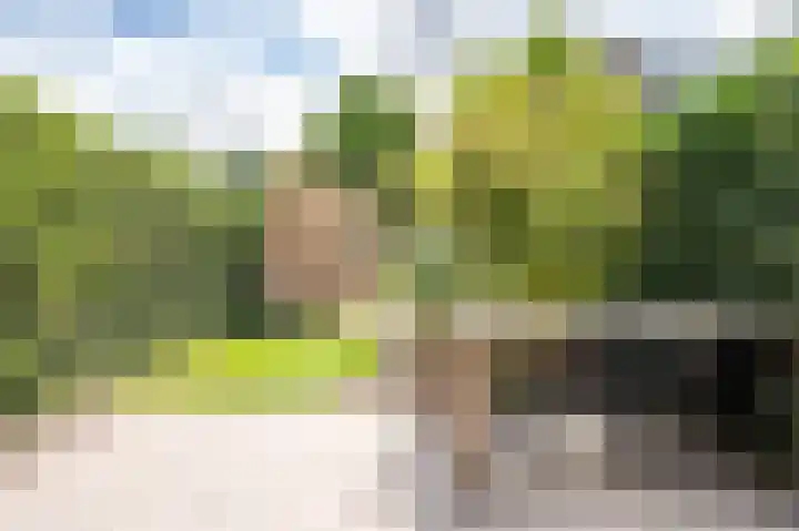 Walstro 68 Cuijk thumbnail 33