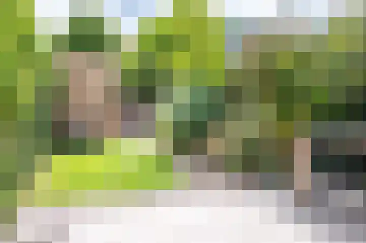 Walstro 68 Cuijk thumbnail 34