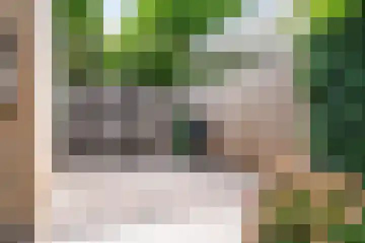 Walstro 68 Cuijk thumbnail 35