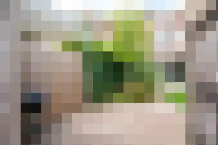 Walstro 68 Cuijk thumbnail 37