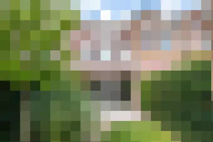 Walstro 68 Cuijk thumbnail 38