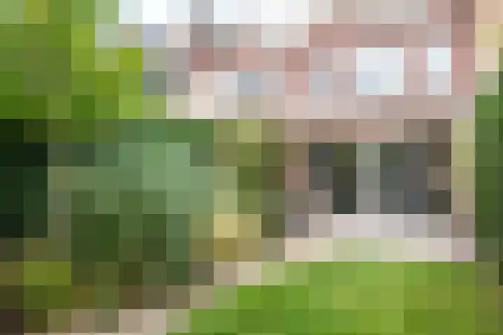 Walstro 68 Cuijk thumbnail 39