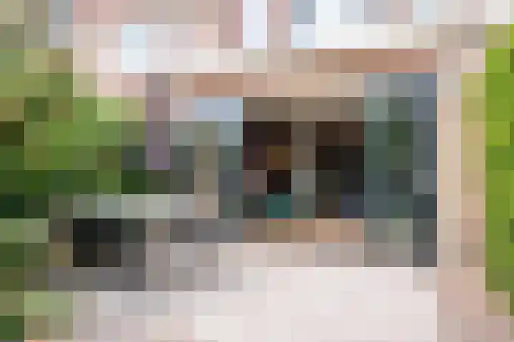 Walstro 68 Cuijk thumbnail 40