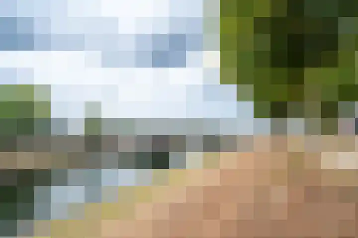 Walstro 68 Cuijk thumbnail 45
