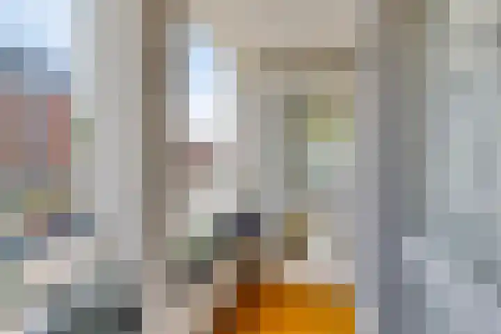 Walstro 7 Cuijk thumbnail 12