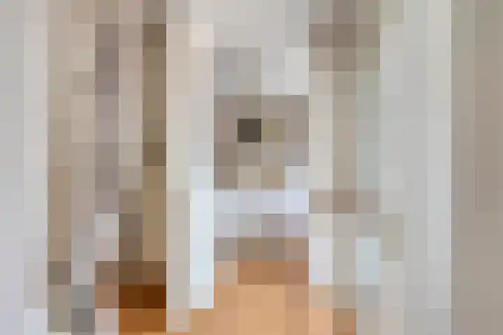 Walstro 7 Cuijk thumbnail 17