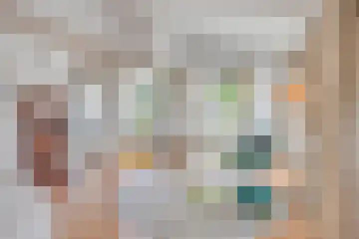 Walstro 7 Cuijk foto 2