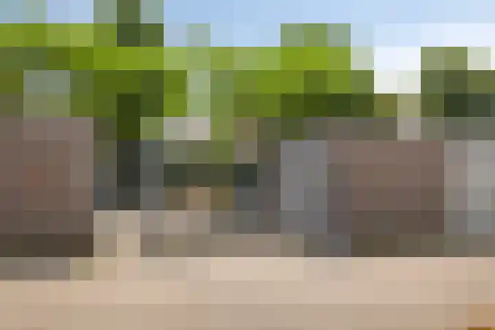 Walstro 7 Cuijk thumbnail 23