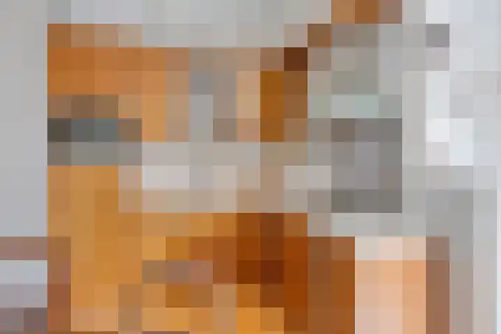 Walstro 7 Cuijk thumbnail 8