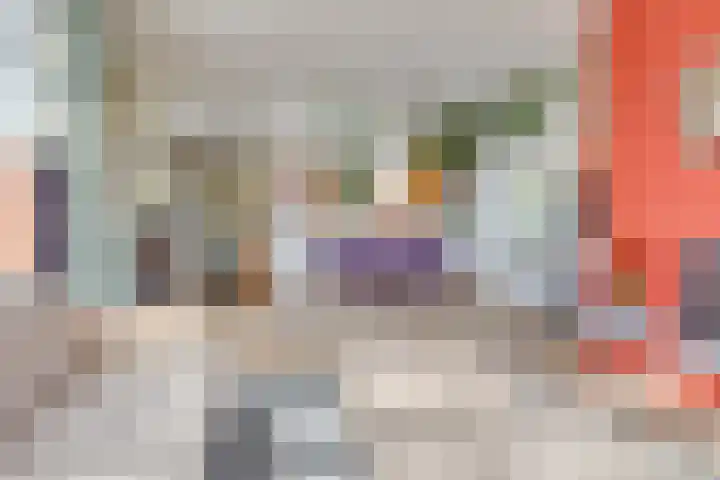 Walstro 70 Leusden thumbnail 12