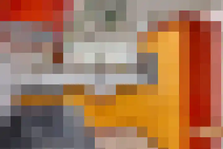 Walstro 70 Leusden thumbnail 19