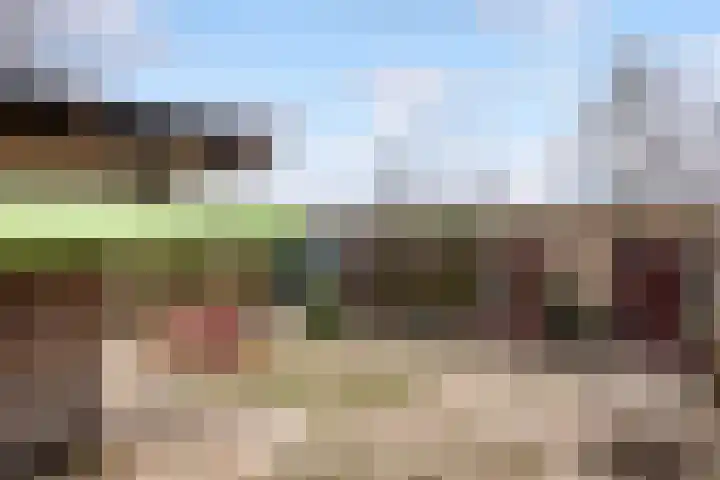 Walstro 70 Leusden thumbnail 42