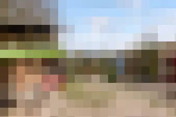 Walstro 70 Leusden thumbnail 44