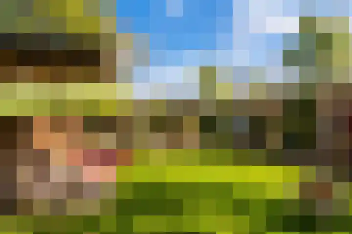 Walstro 70 Leusden thumbnail 45