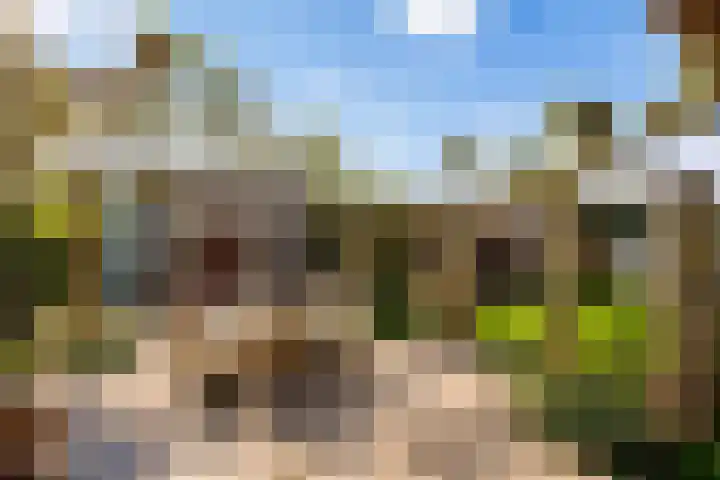 Walstro 70 Leusden thumbnail 47