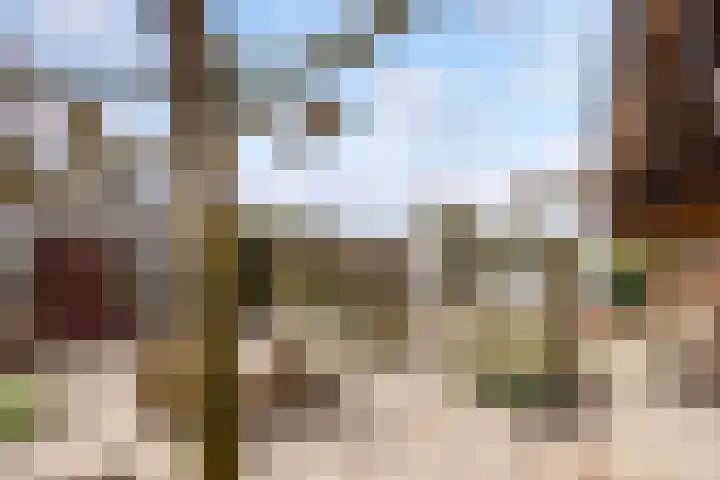 Walstro 70 Leusden thumbnail 48