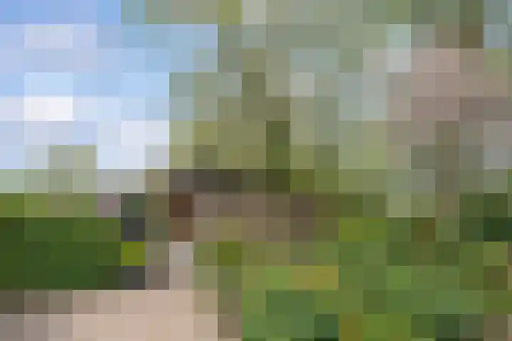 Walstro 70 Leusden thumbnail 50