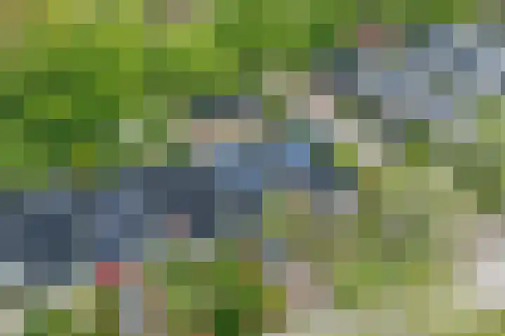 Walstro 70 Leusden thumbnail 54