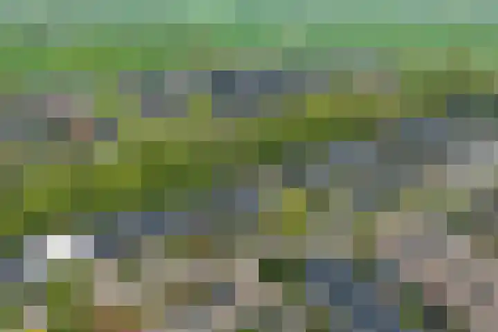 Walstro 70 Leusden thumbnail 58