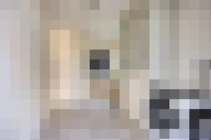 Walstro 92 Leusden thumbnail 17