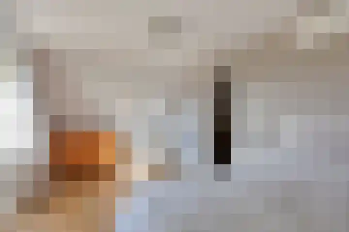 Walstro 92 Leusden thumbnail 22