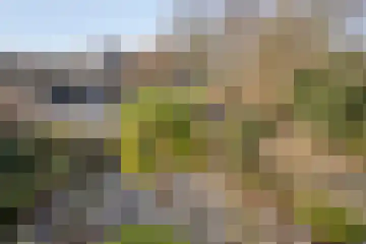 Walstro 92 Leusden thumbnail 26