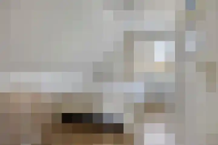 Walstro 92 Leusden thumbnail 28