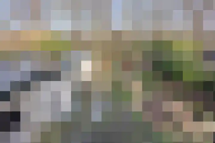 Walstro 92 Leusden thumbnail 29