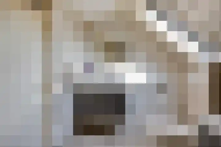 Walstro 92 Leusden thumbnail 33