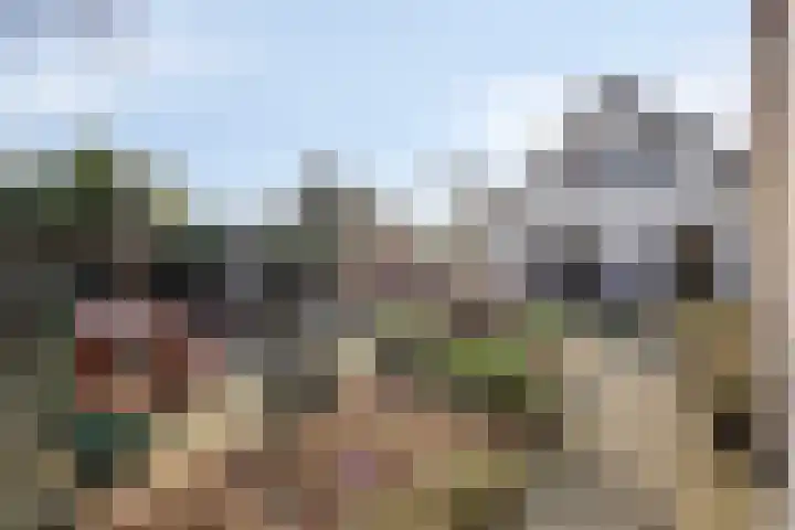 Walstro 92 Leusden thumbnail 36