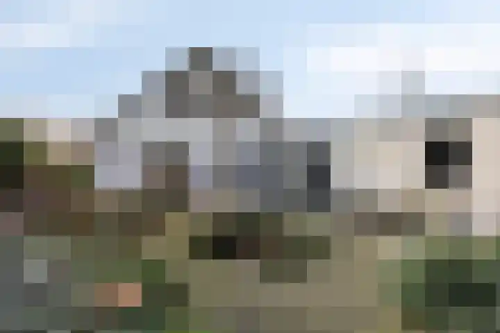 Walstro 92 Leusden thumbnail 37