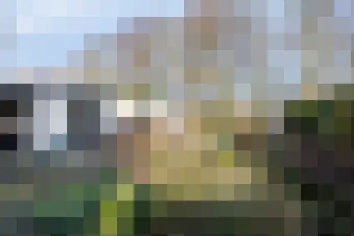 Walstro 92 Leusden thumbnail 39