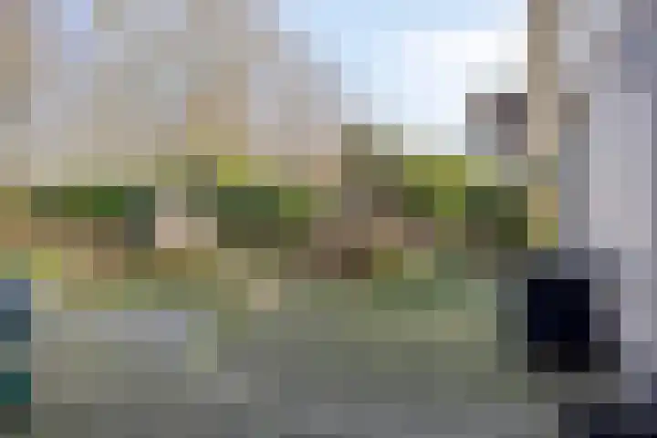 Walstro 92 Leusden thumbnail 4