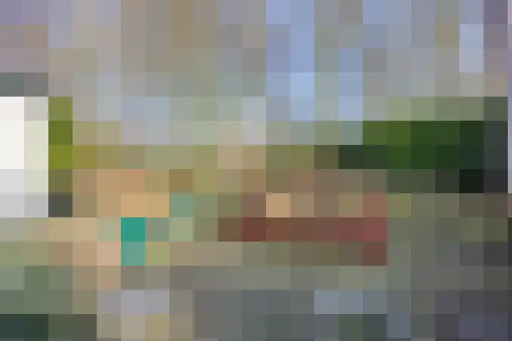 Walstro 92 Leusden thumbnail 41