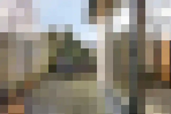 Walstro 92 Leusden thumbnail 42