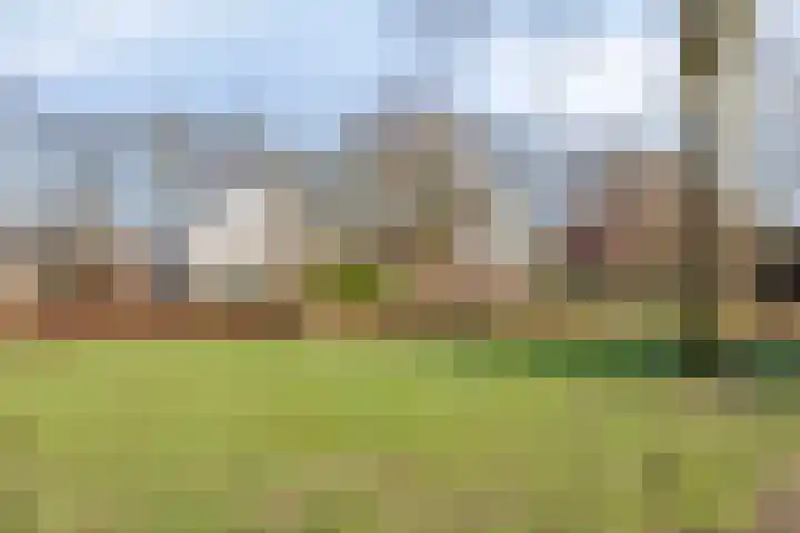 Walstro 92 Leusden thumbnail 43