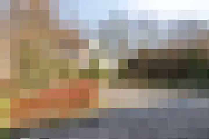 Walstro 92 Leusden thumbnail 44