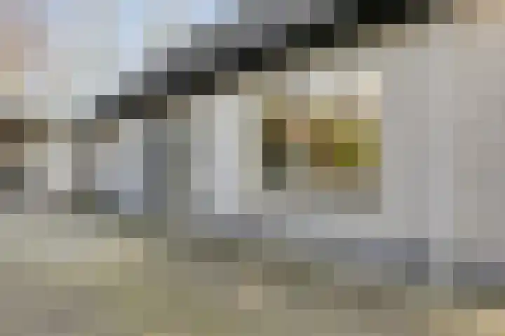 Walstro 92 Leusden thumbnail 46