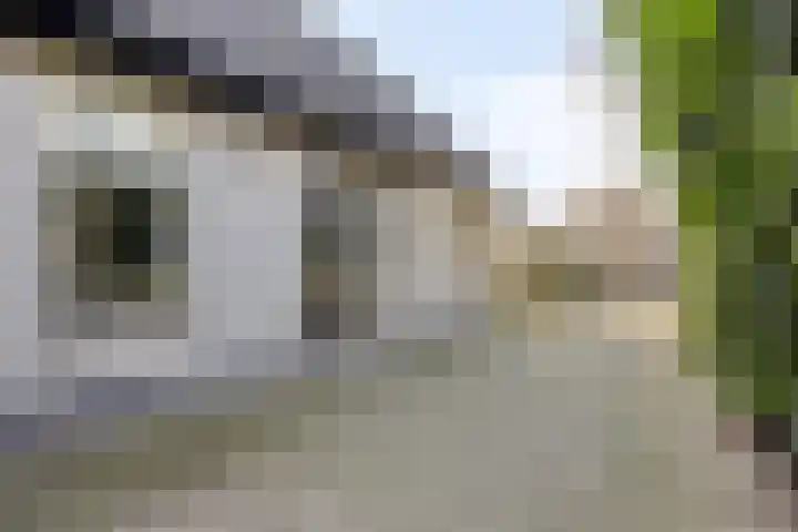 Walstro 92 Leusden thumbnail 48