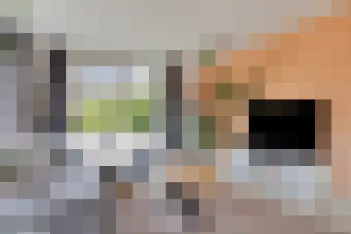 Walstro 92 Leusden thumbnail 8