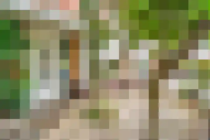 Walstroplein 43 Rotterdam thumbnail 36