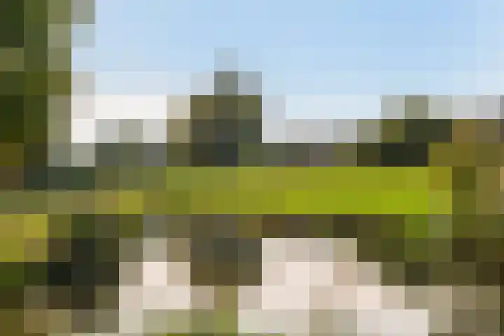 Walstroplein 43 Rotterdam thumbnail 37