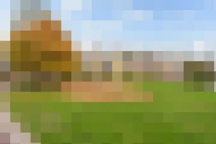 Walstroplein 43 Rotterdam thumbnail 38