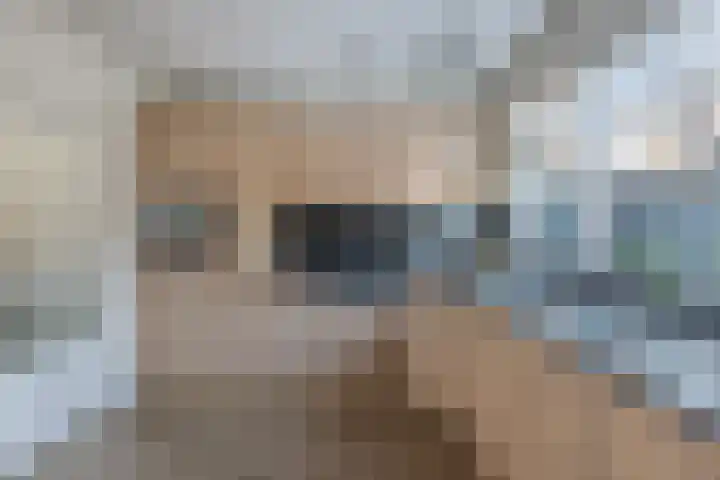 Walta 36 Drachten thumbnail 24
