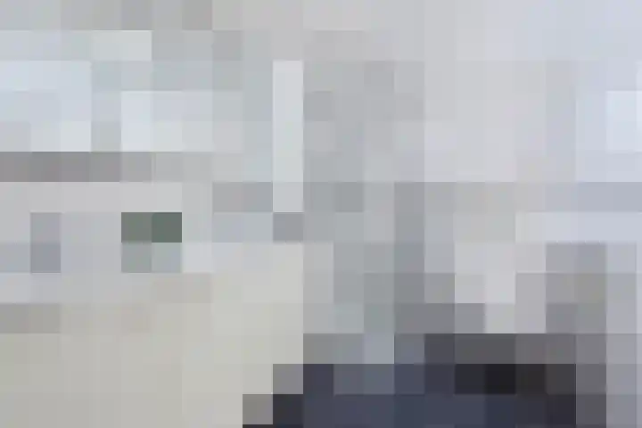 Walta 36 Drachten thumbnail 31