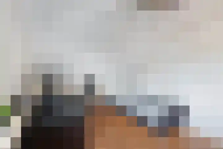 Walta 36 Drachten thumbnail 34