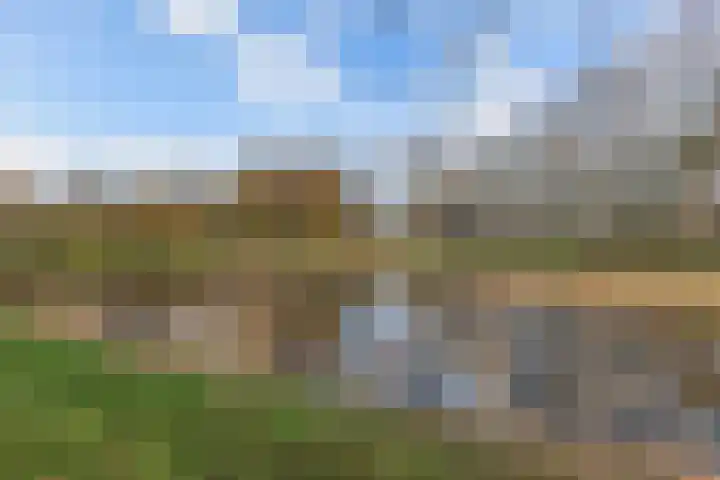 Walta 36 Drachten thumbnail 54