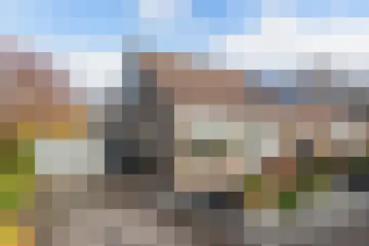 Walta 36 Drachten thumbnail 6